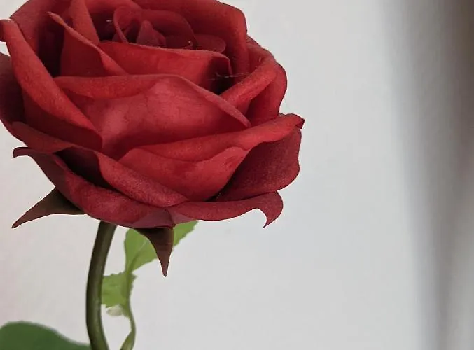 Lejlighed Citycosy - Art Style *