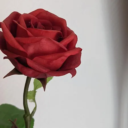 דירה Citycosy - Art Style *